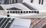 金年会sports-冰岛国家队备战世界杯预选赛